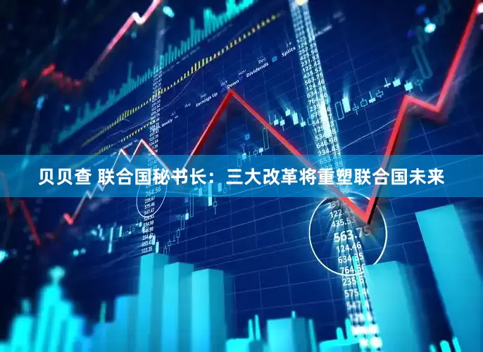 贝贝查 联合国秘书长：三大改革将重塑联合国未来