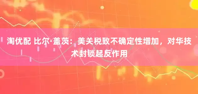 淘优配 比尔·盖茨：美关税致不确定性增加，对华技术封锁起反作用
