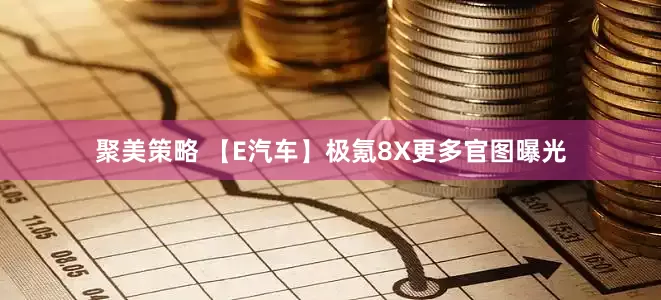 聚美策略 【E汽车】极氪8X更多官图曝光